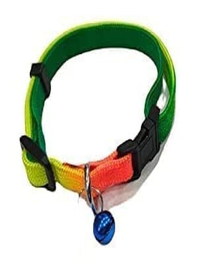 Smart Pups Colourful Adjustable Nylon Puppy Leash Harness and Collar Combo, Suitable for Puppy 15 mm Multicolor (Collar + Harness + Leash) - Image 3